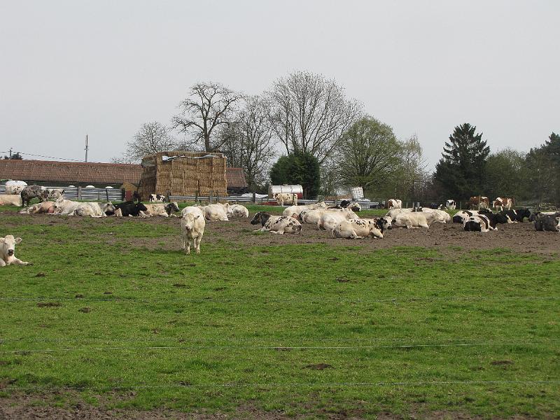 6de Nonkelfransrit 21-4-2013 (226).JPG